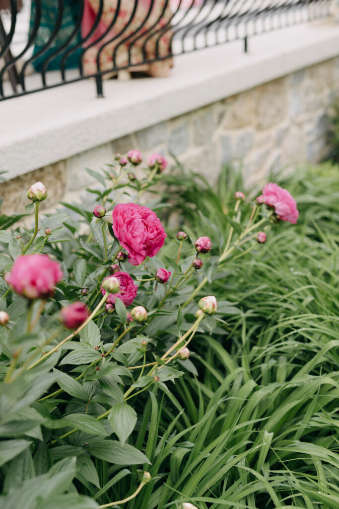 Willows at Ashcombe Wedding Venue, Willows at Ashcombe Wedding, Philadelphia Wedding, Philadelphia Wedding Photographer, New Jersey Wedding Photographer, Fern & Fountain Photography, Emily Wilkerson Photo